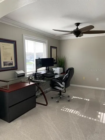 $3,995 | 19138 Cypress Green Drive, Lutz, FL 33558