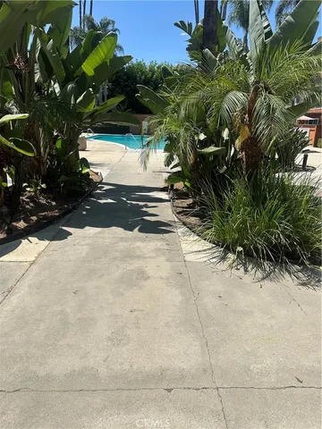 a view of a yard with plants