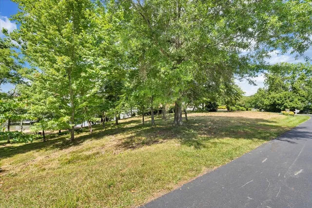 a view of a yard with large trees