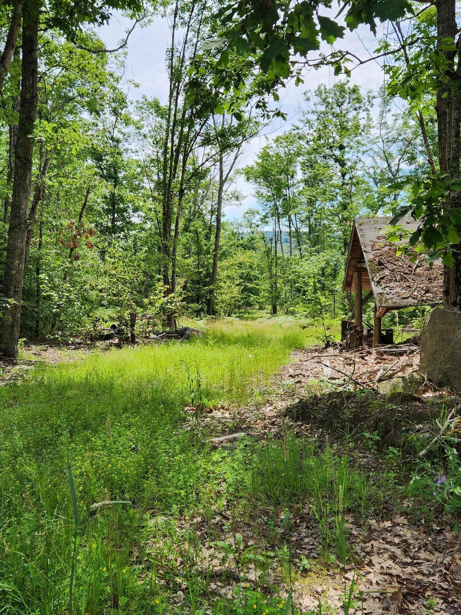 3150 Turner Ridge Road Somerville, ME 04348 - Photo 13 of 28 EllisTrailToRiver