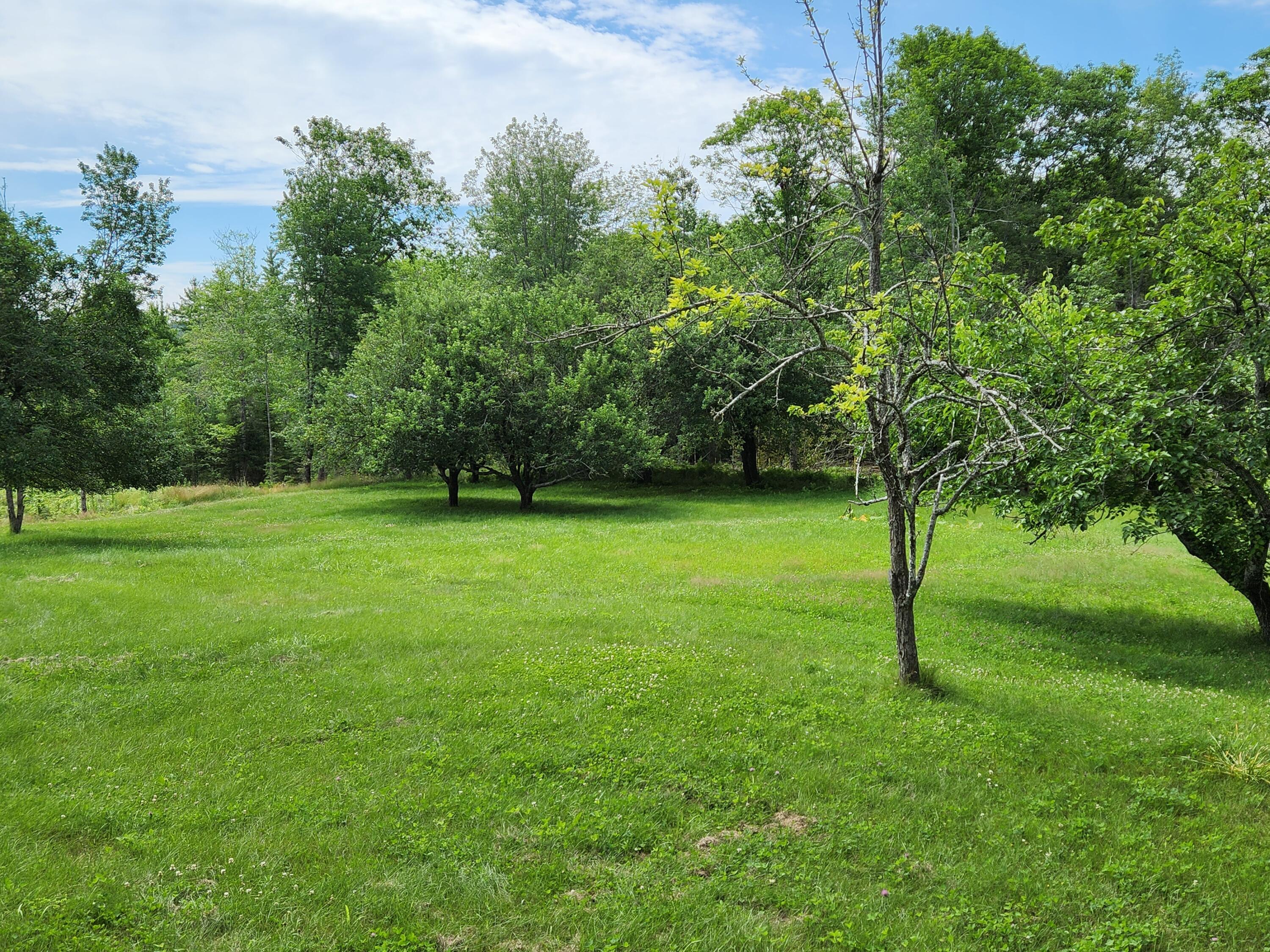 3150 Turner Ridge Road Somerville, ME 04348 - Photo 14 of 28 EllisYard