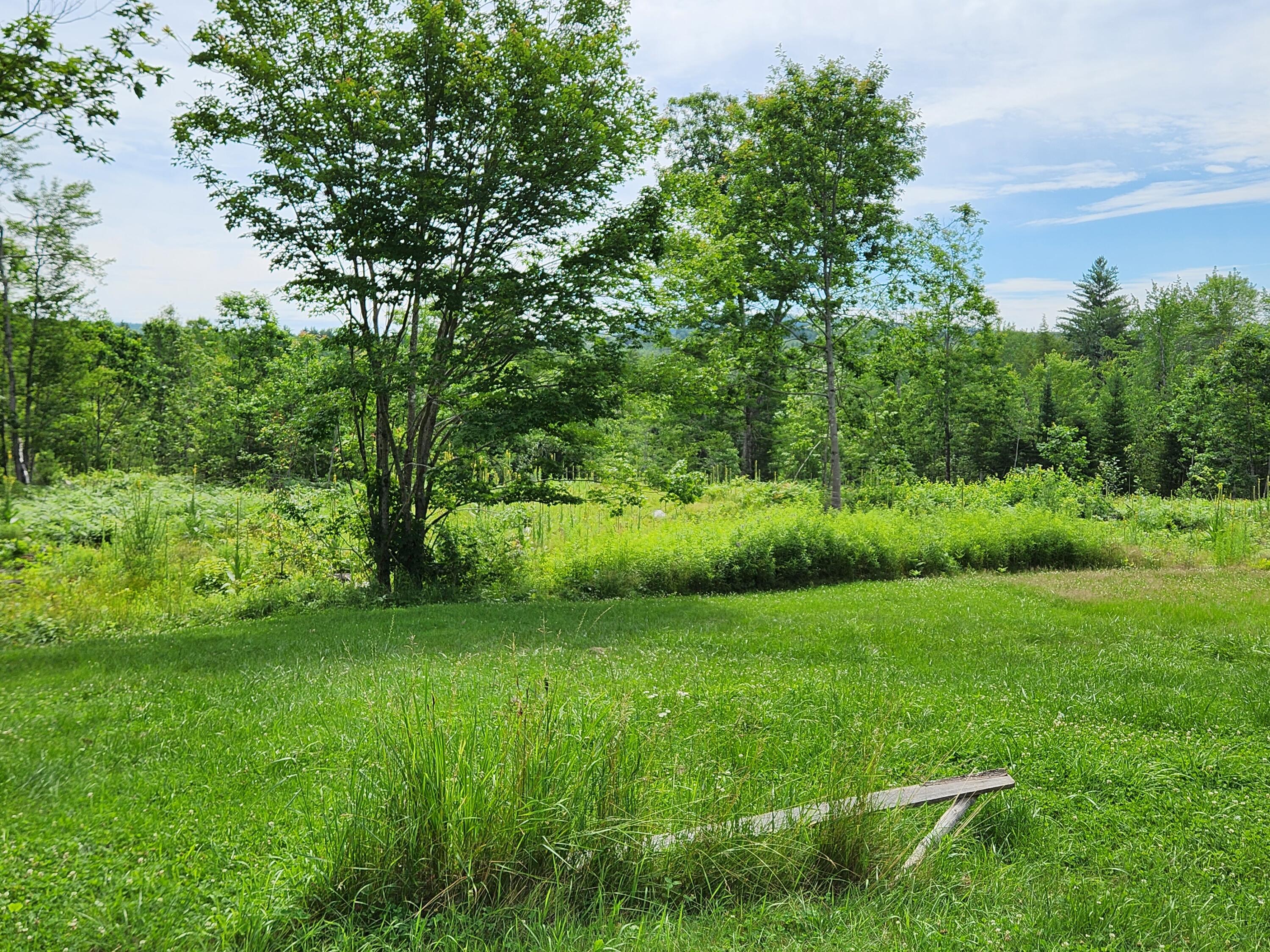 3150 Turner Ridge Road Somerville, ME 04348 - Photo 15 of 28 EllisYard1