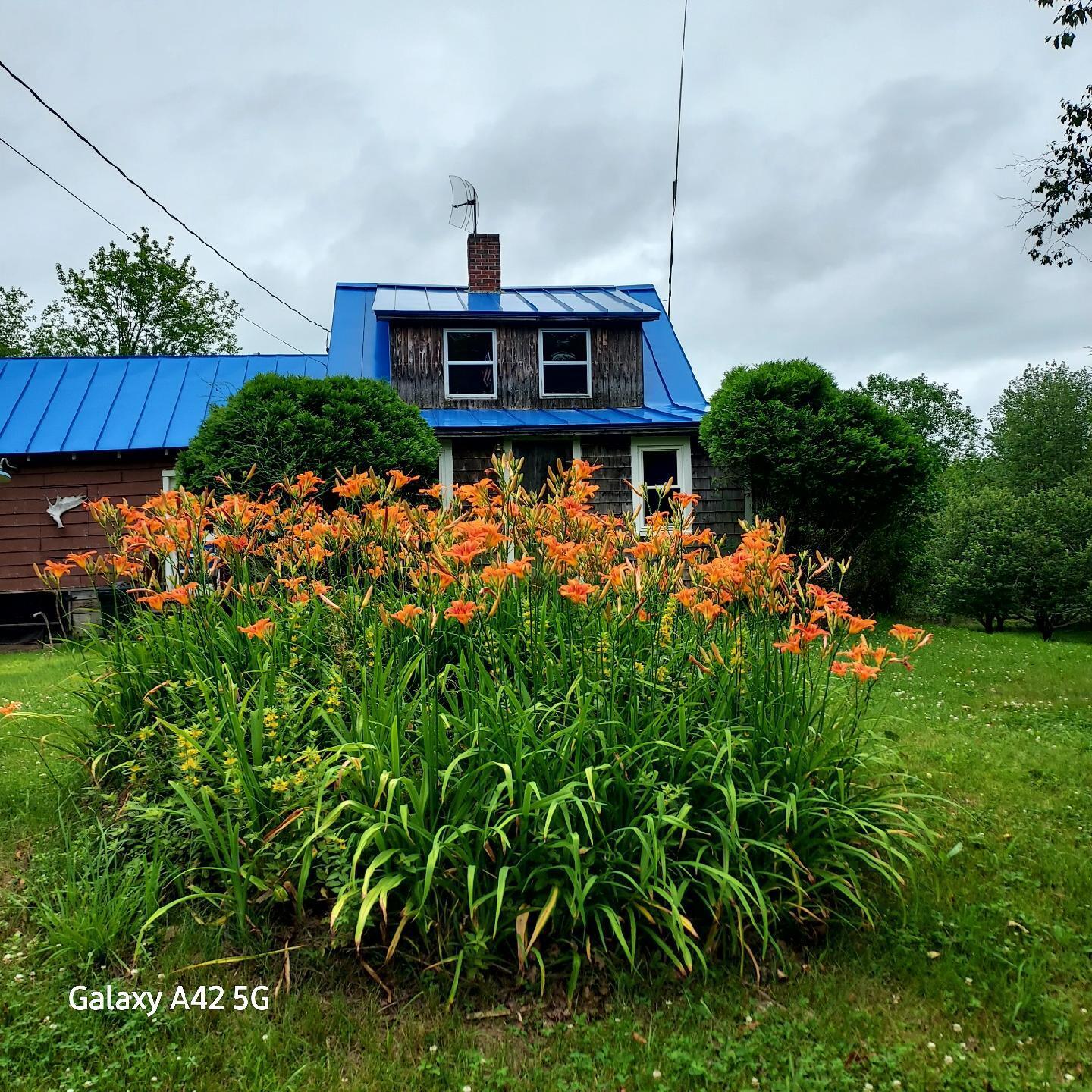 3150 Turner Ridge Road Somerville, ME 04348 - Photo 16 of 28 EllisLillies