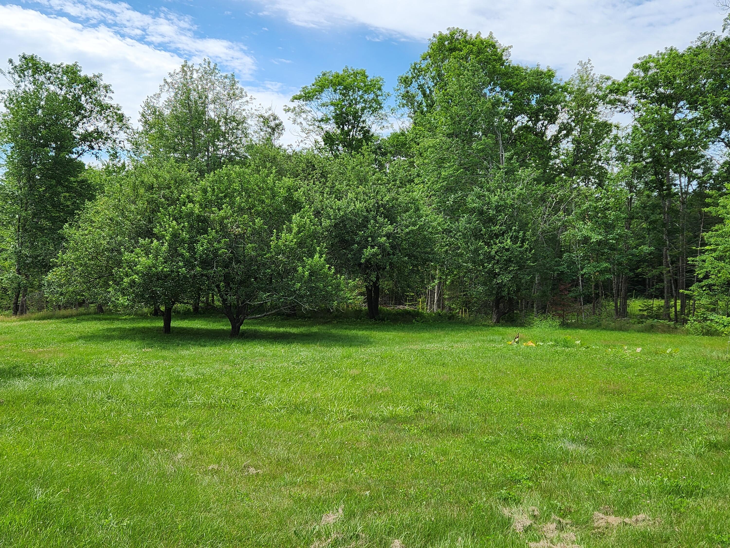 3150 Turner Ridge Road Somerville, ME 04348 - Photo 9 of 28 EllisAppleTrees
