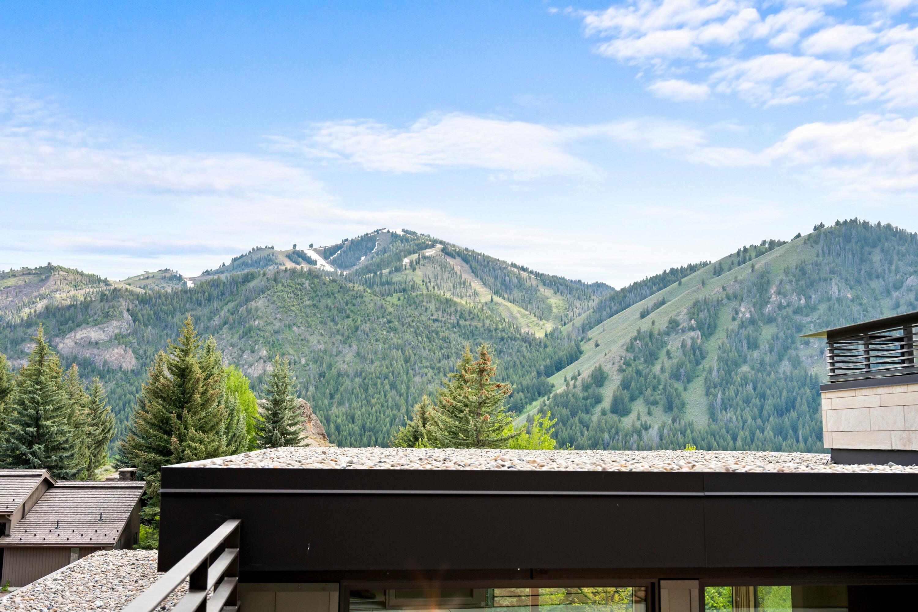 820 Walnut Avenue Ketchum, ID 83340 - Photo 26 of 49 026_dsc_3979_446