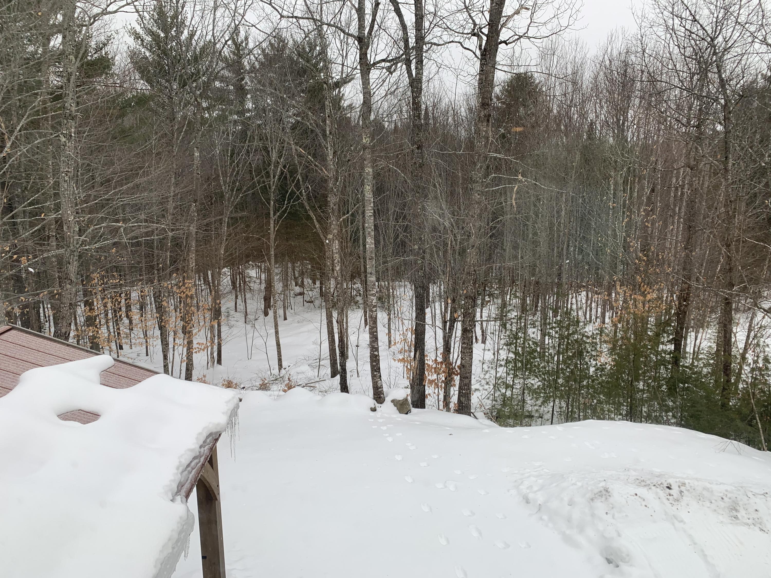 316 Folly Road Sebago, ME 04029 - Photo 27 of 27 IMG_6082