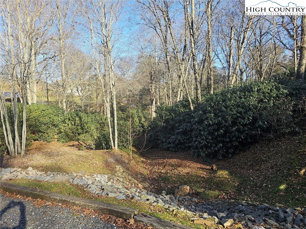 711 Trice Fork Mountain Road Newland, NC 28657 - Photo 18 of 22 a view of backyard with outdoor space