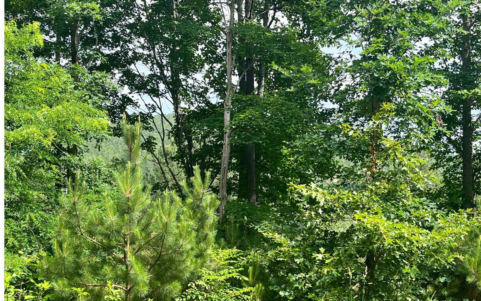 60 Thirteen Hundred Cleveland, GA 30528 - Photo 11 of 32 Additional View