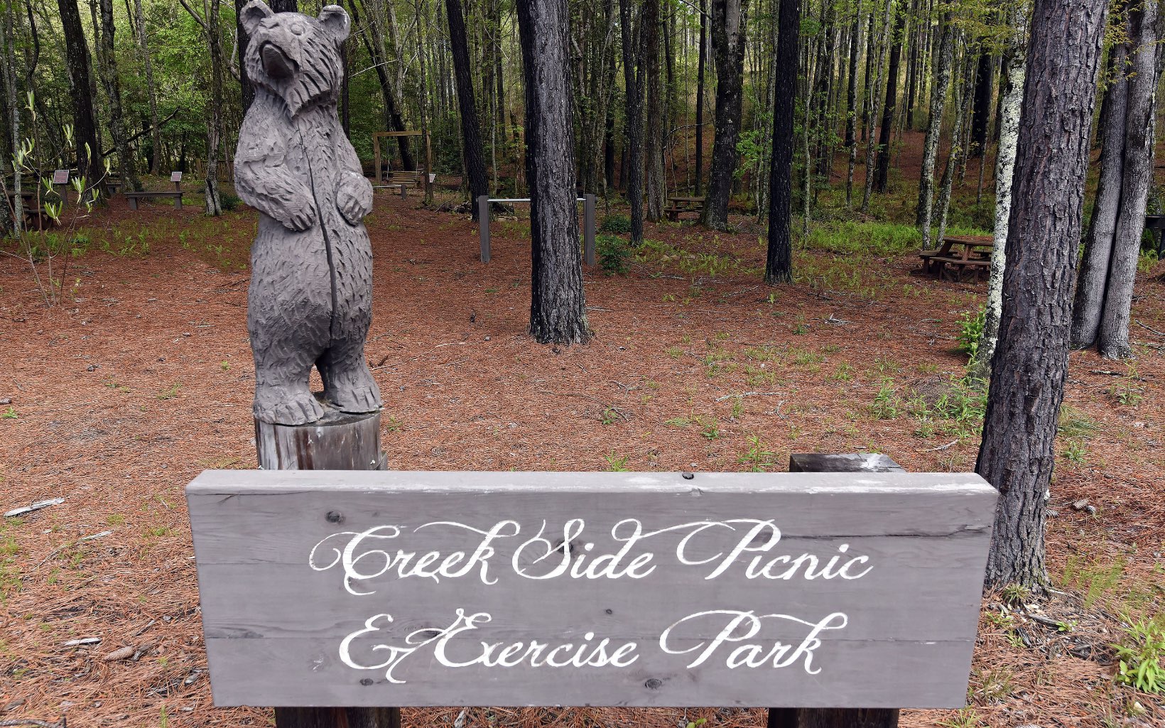 60 Thirteen Hundred Cleveland, GA 30528 - Photo 13 of 32 Additional View