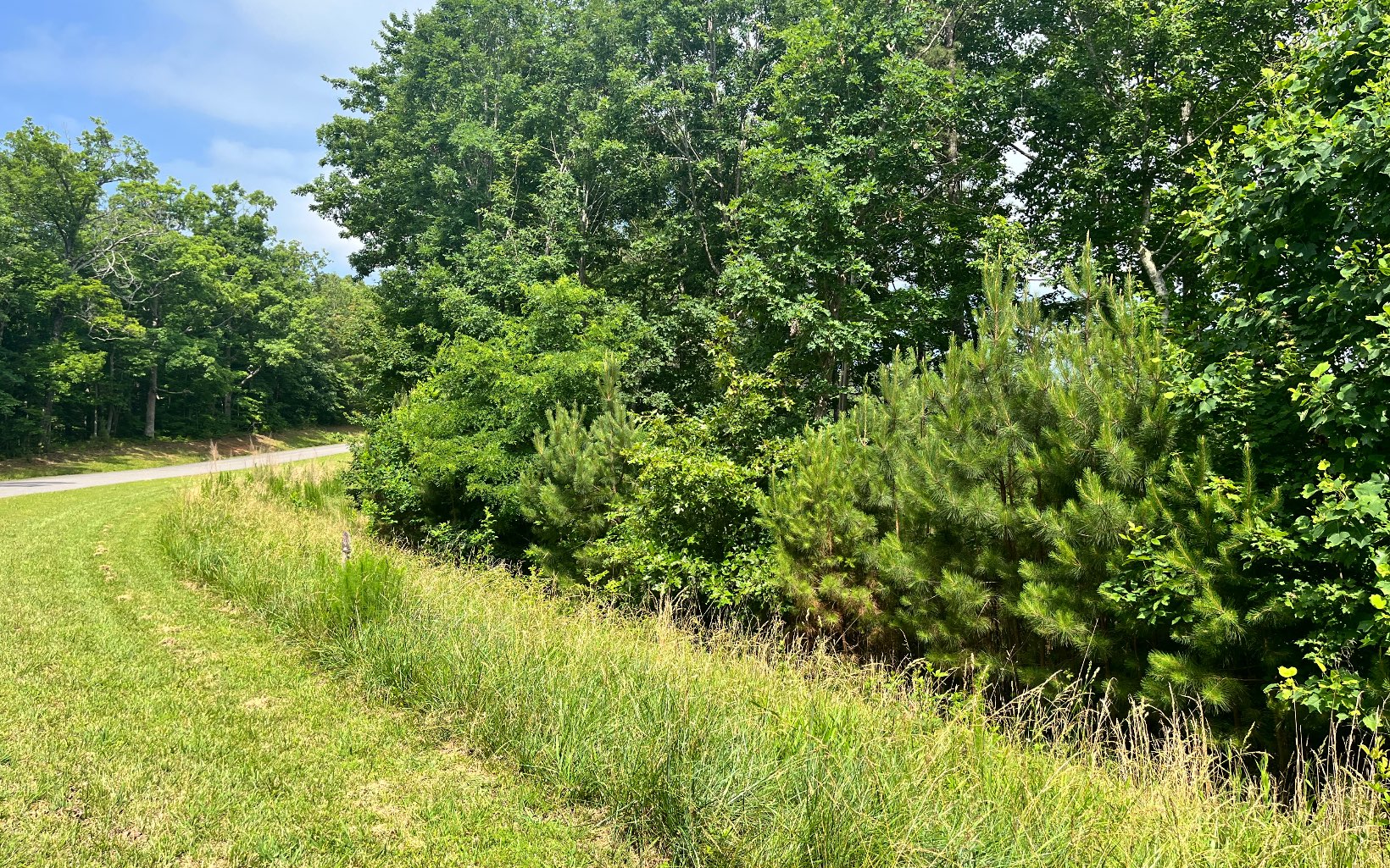 60 Thirteen Hundred Cleveland, GA 30528 - Photo 8 of 32 Additional View