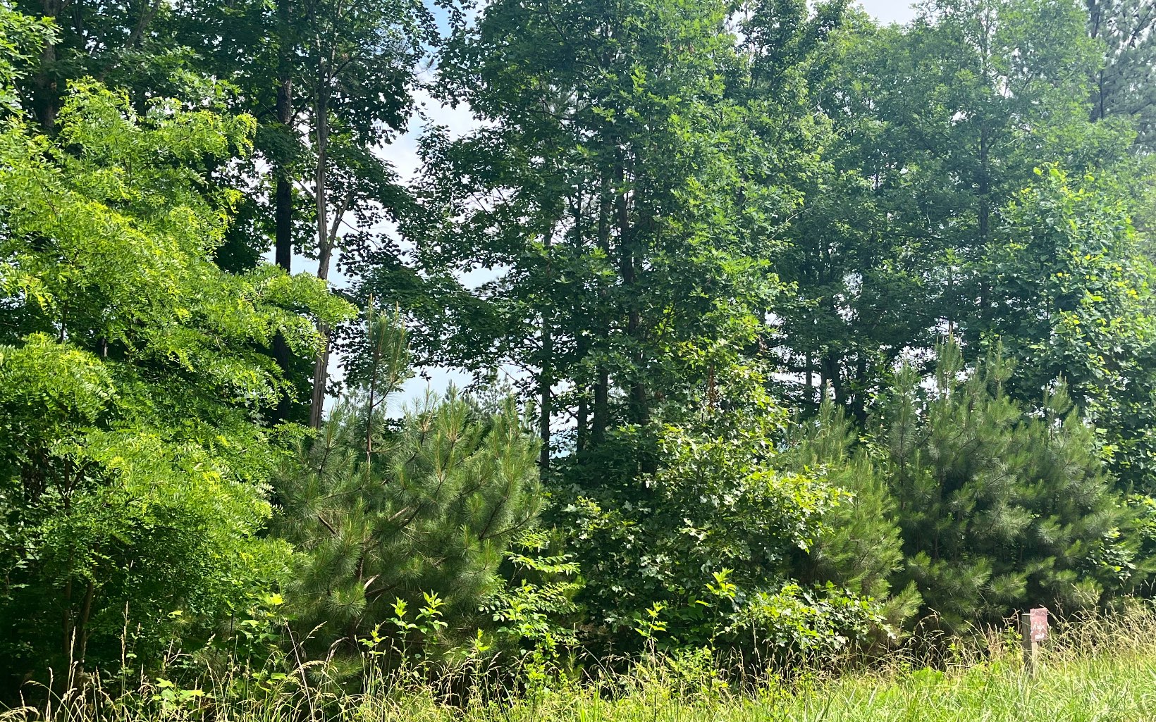 60 Thirteen Hundred Cleveland, GA 30528 - Photo 9 of 32 Additional View