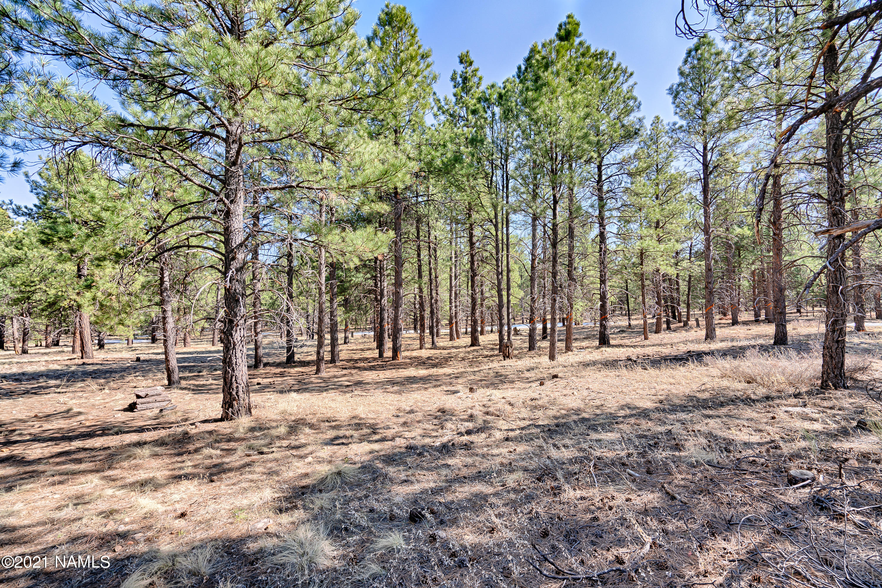 21 West Quartz Road Flagstaff, AZ 86005 - Photo 6 of 31 Quartz-SWG_Media-28
