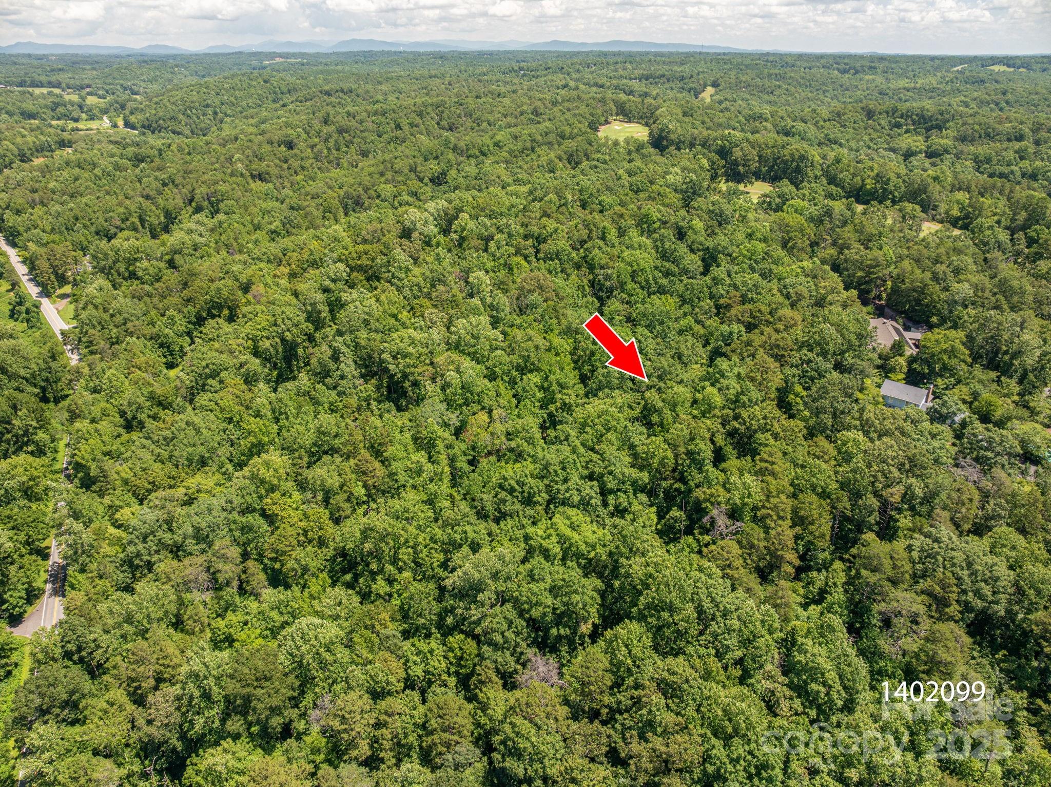 Lot 169 Coxe Road Rutherfordton, NC 28139 - Photo 4 of 19 a view of a lush green field