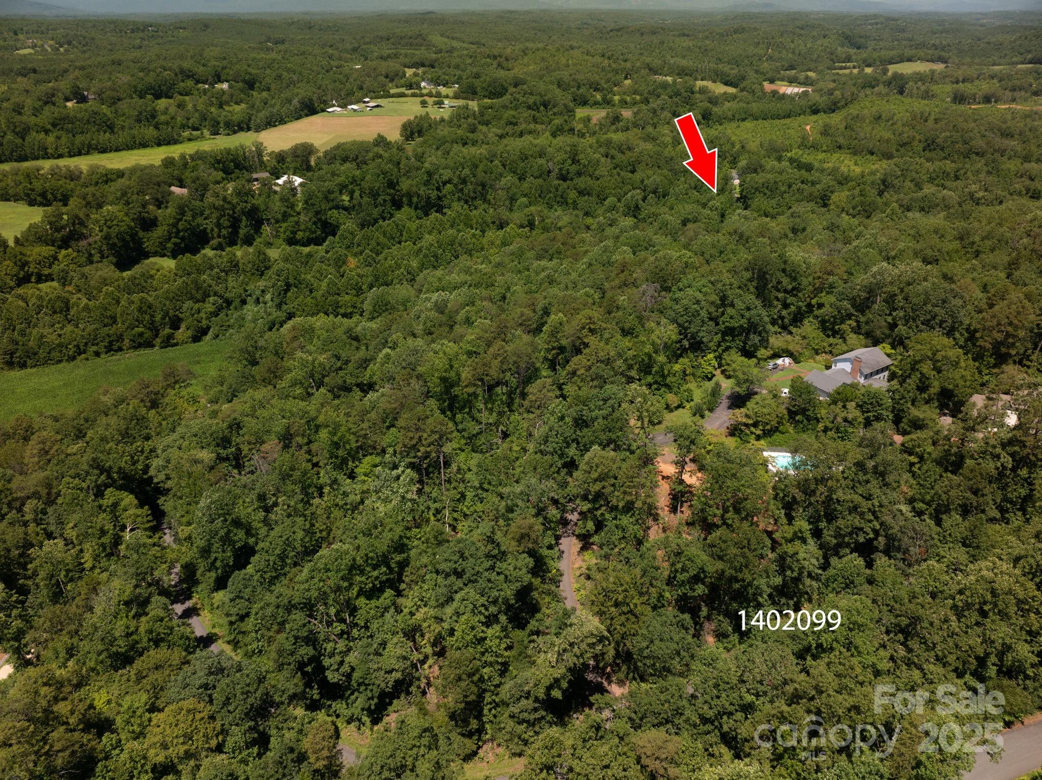 Lot 169 Coxe Road Rutherfordton, NC 28139 - Photo 5 of 19 an aerial view of a houses with a lush green hillside
