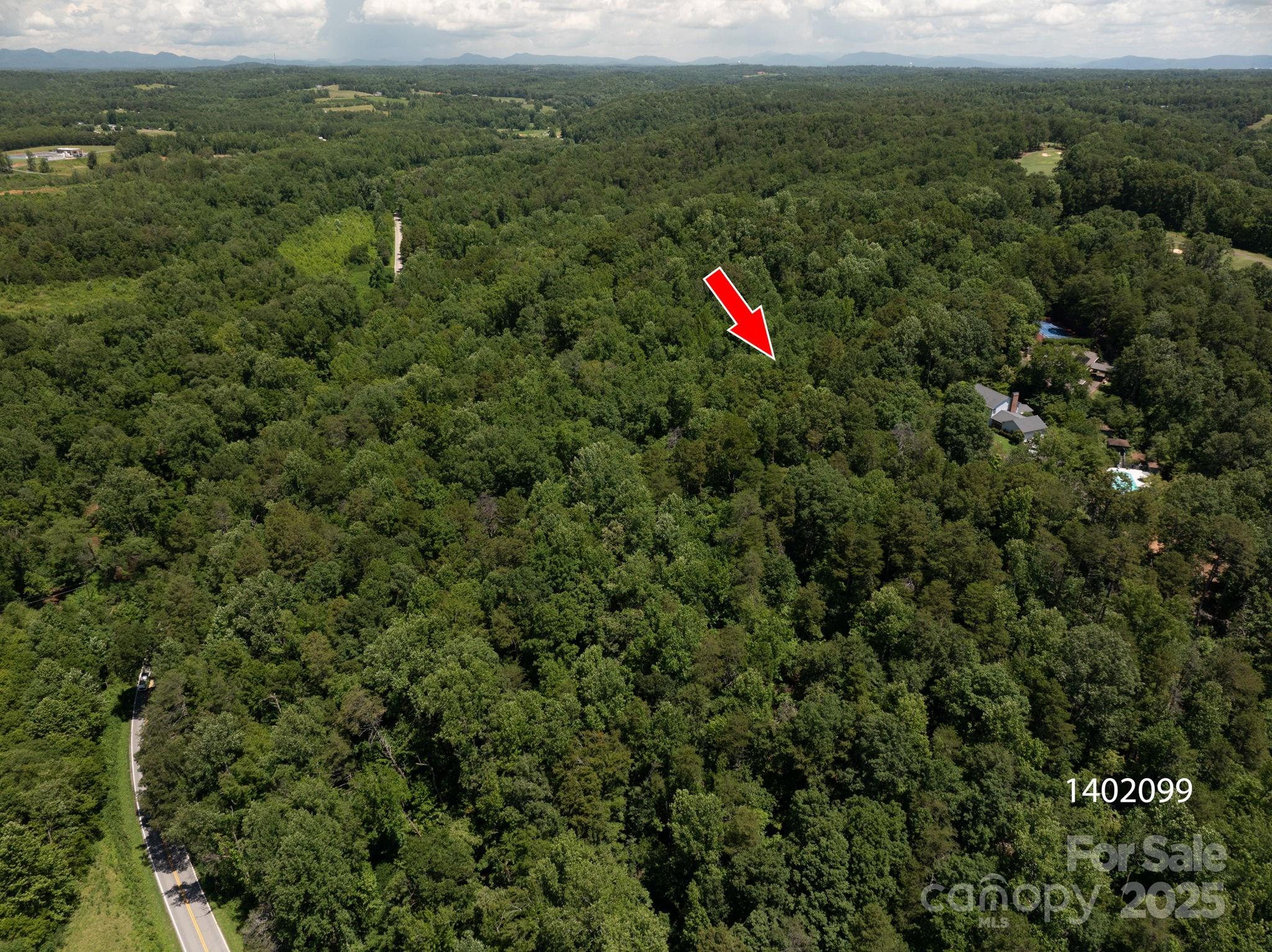 Lot 169 Coxe Road Rutherfordton, NC 28139 - Photo 7 of 19 a view of a forest
