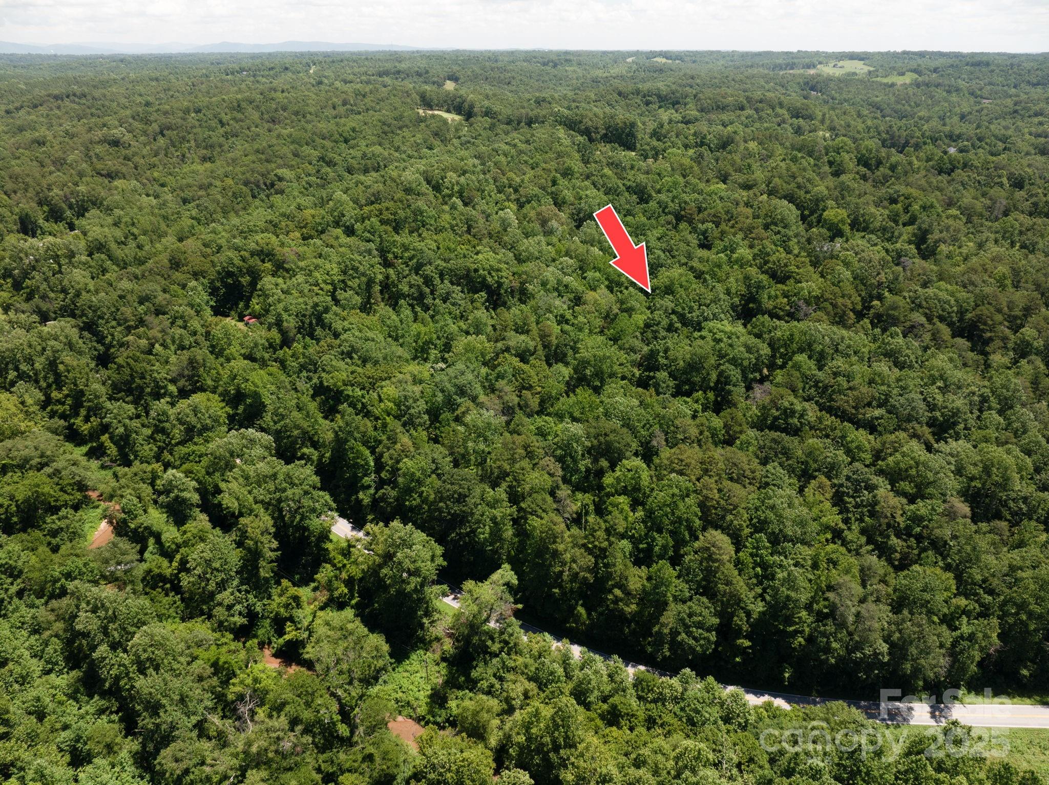 Lot 169 Coxe Road Rutherfordton, NC 28139 - Photo 9 of 19 a view of a forest with a street and trees