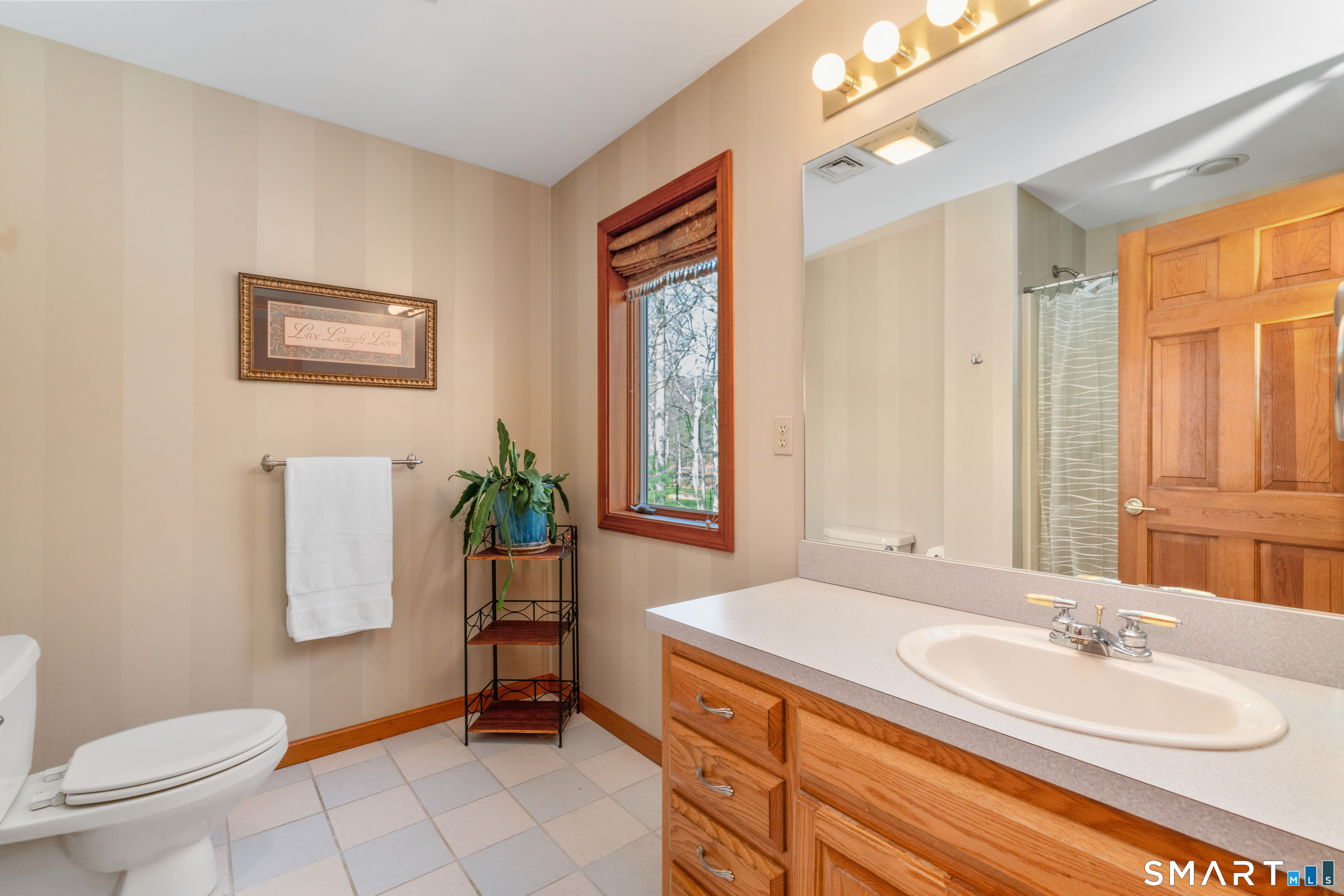 67 Hunter's Crossing Burlington, CT 06013 - Photo 25 of 35 a bathroom with a granite countertop sink toilet and painting