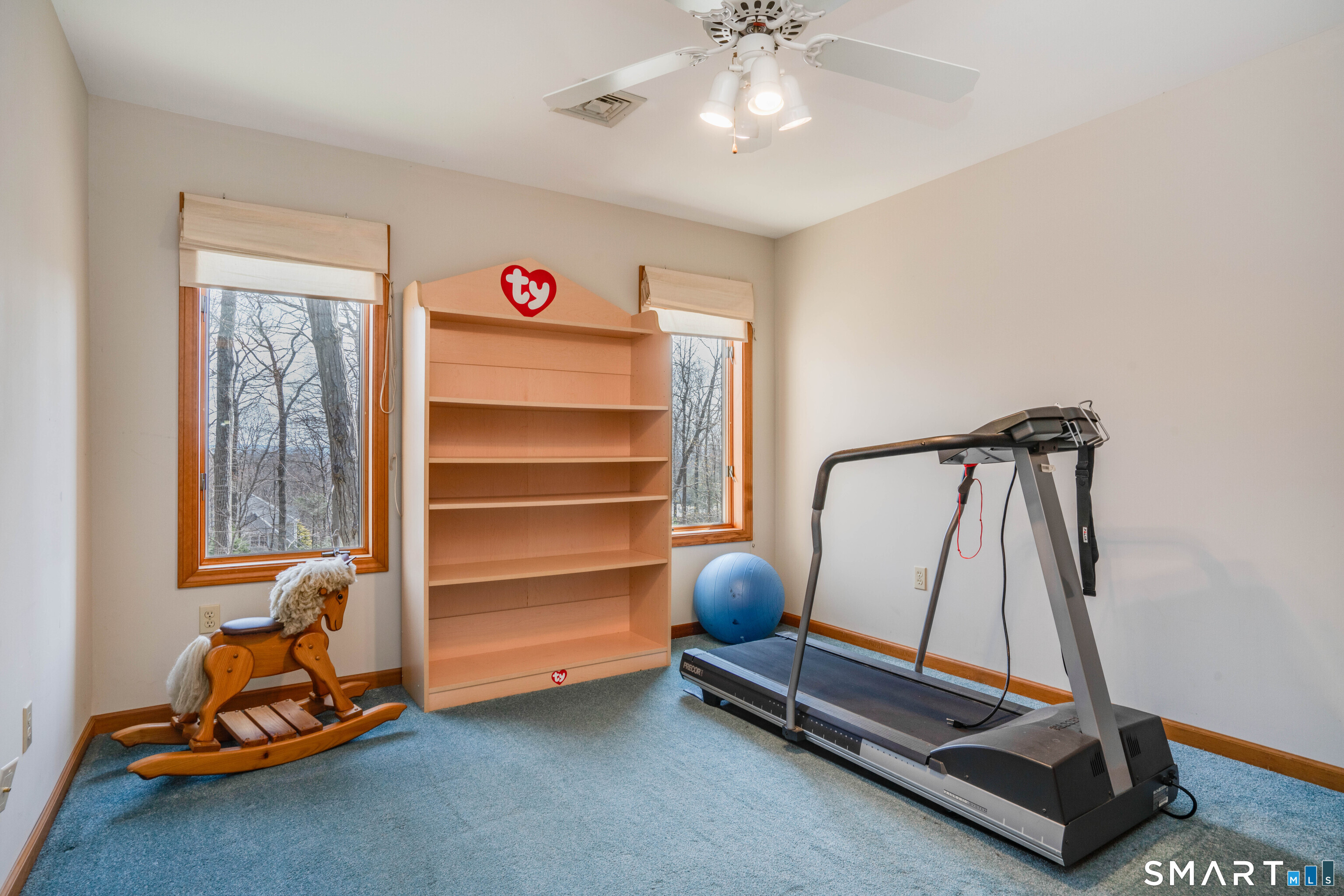 67 Hunter's Crossing Burlington, CT 06013 - Photo 28 of 35 a room with gym equipment and windows