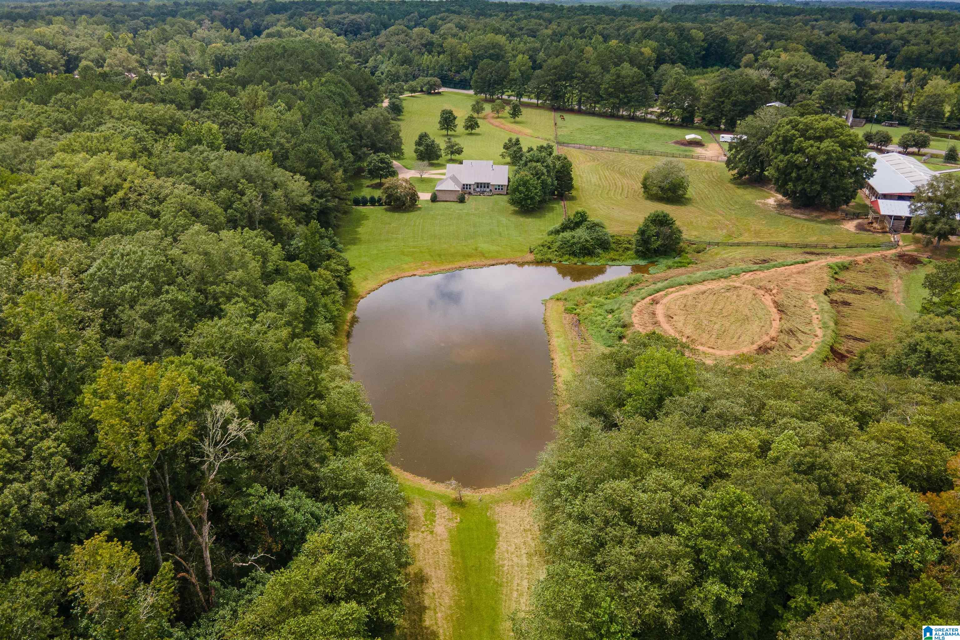 6578 Chelsea Road Columbiana, AL 35051 - Photo 48 of 52