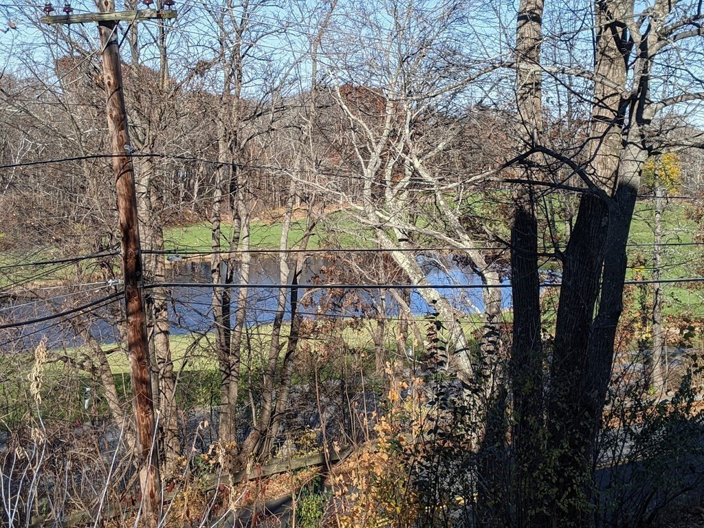 44 Boxford Road, Unit 44 Haverhill, MA 01835 - Photo 3 of 13 a view of yard along with trees