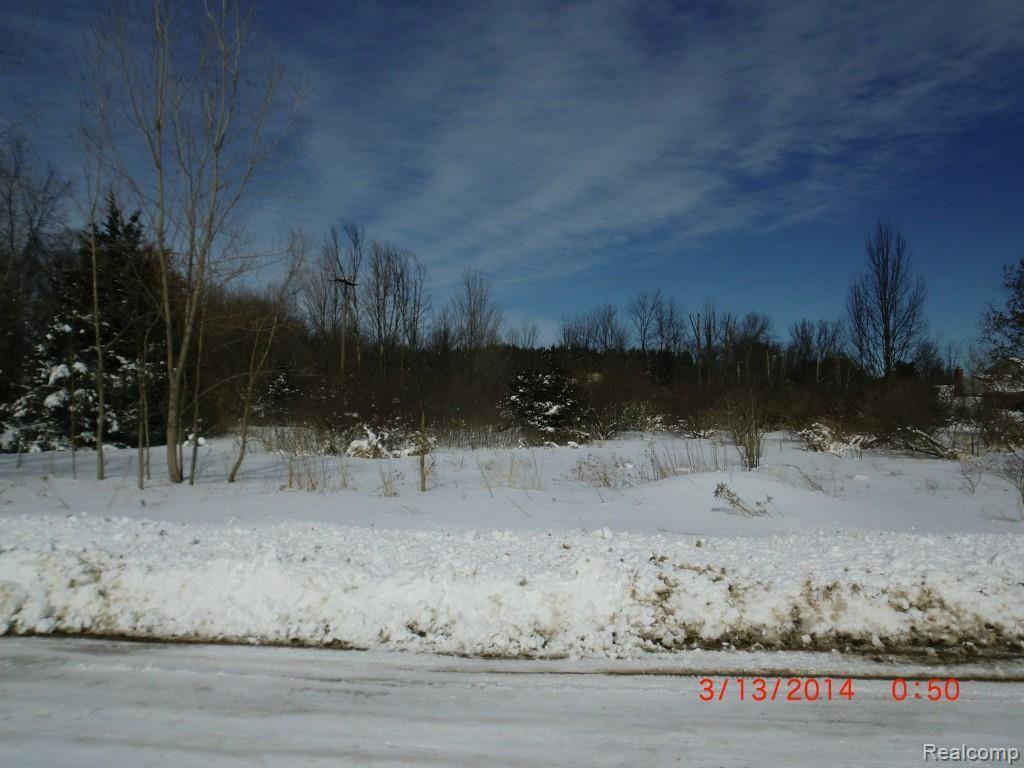 0 West Lone Tree Road Highland, MI 48357 - Photo 3 of 3 Lone Tree Right Side.jpg
