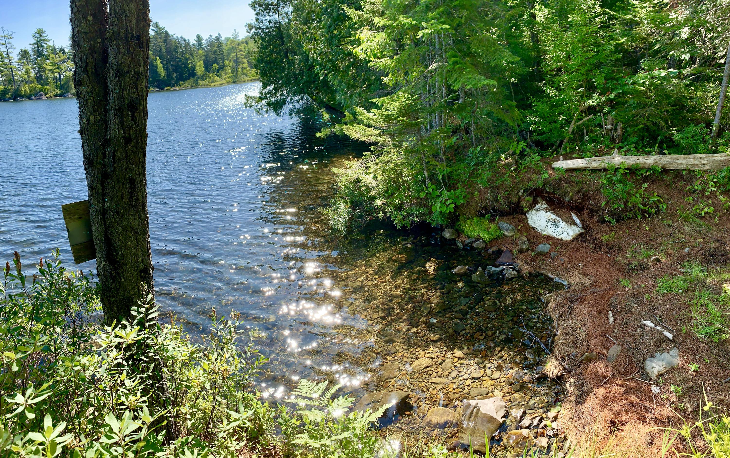 277 Shore Rd Lake View North Milo, ME 04463 - Photo 11 of 59 Where the Loons Nest