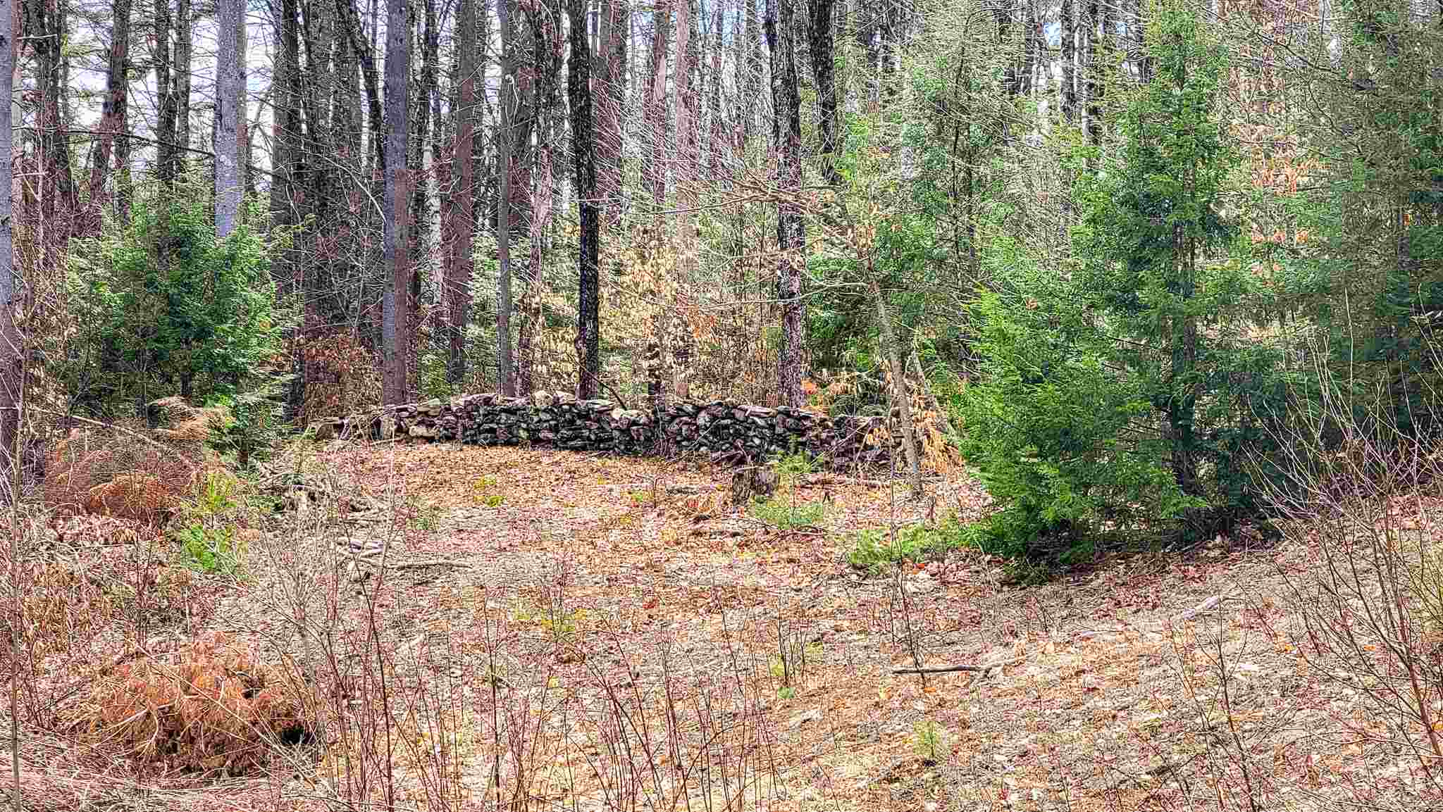 84 Walker Road Grafton, VT 05146 - Photo 22 of 40