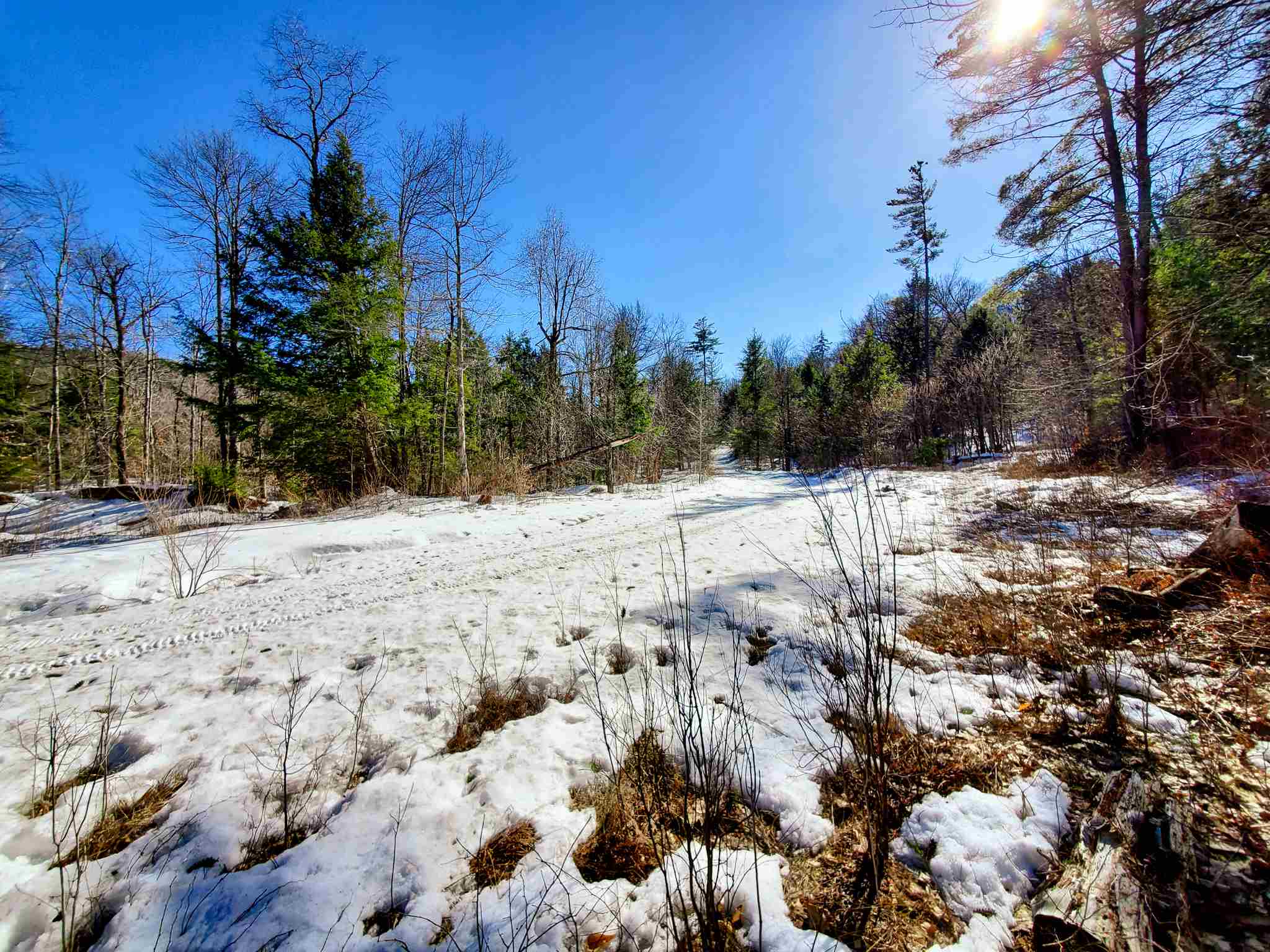 84 Walker Road Grafton, VT 05146 - Photo 9 of 40