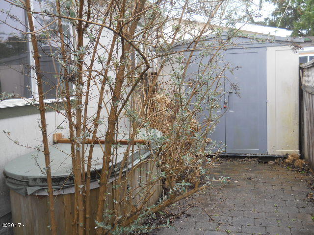 35420 Swan Avenue Nehalem, OR 97131 - Photo 3 of 18 Hot tub & shed