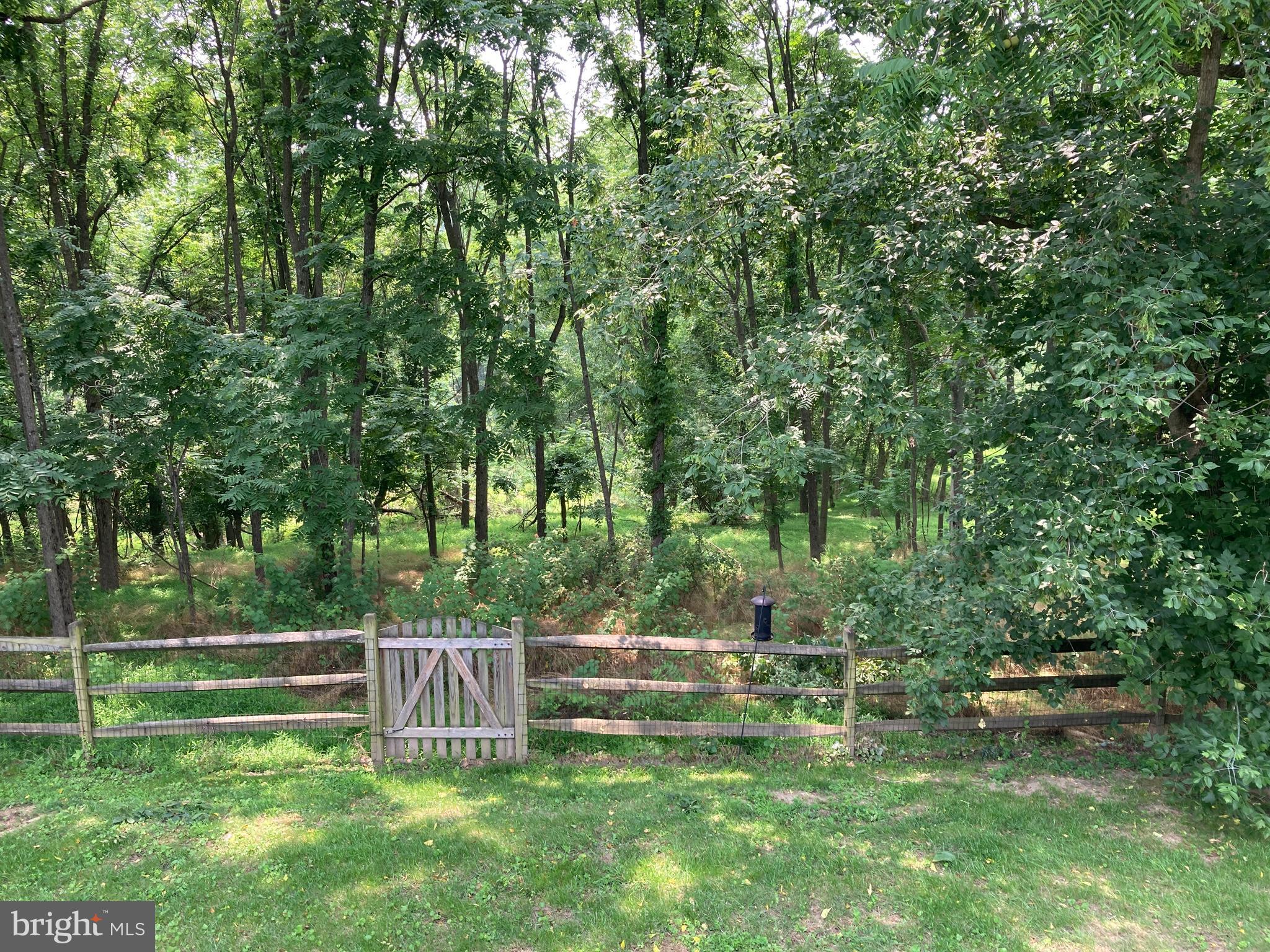 6916 Fox Chase Road New Market, MD 21774 - Photo 2 of 43 Level back yard backing to woods