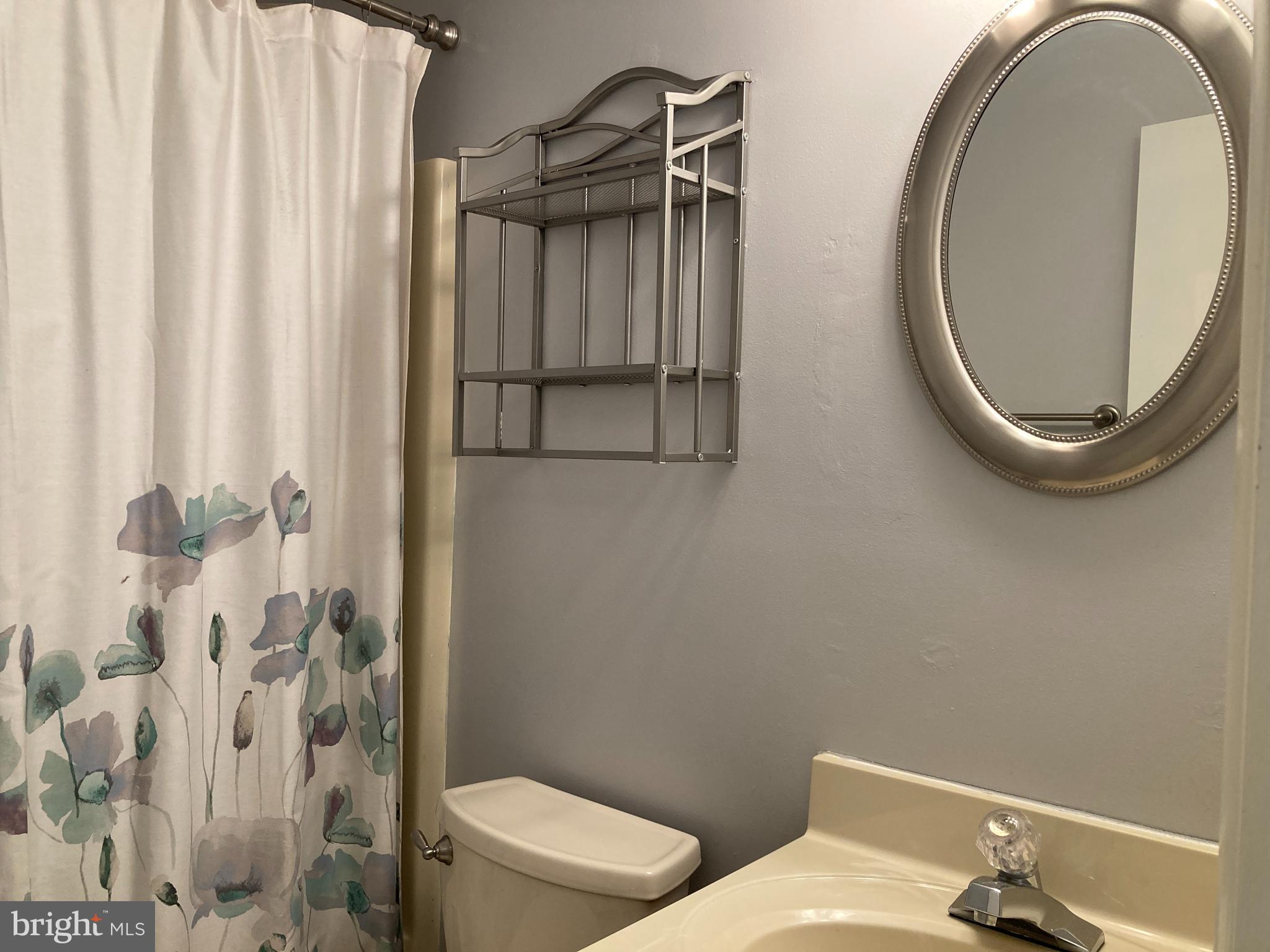 6916 Fox Chase Road New Market, MD 21774 - Photo 21 of 43 Hall bath.