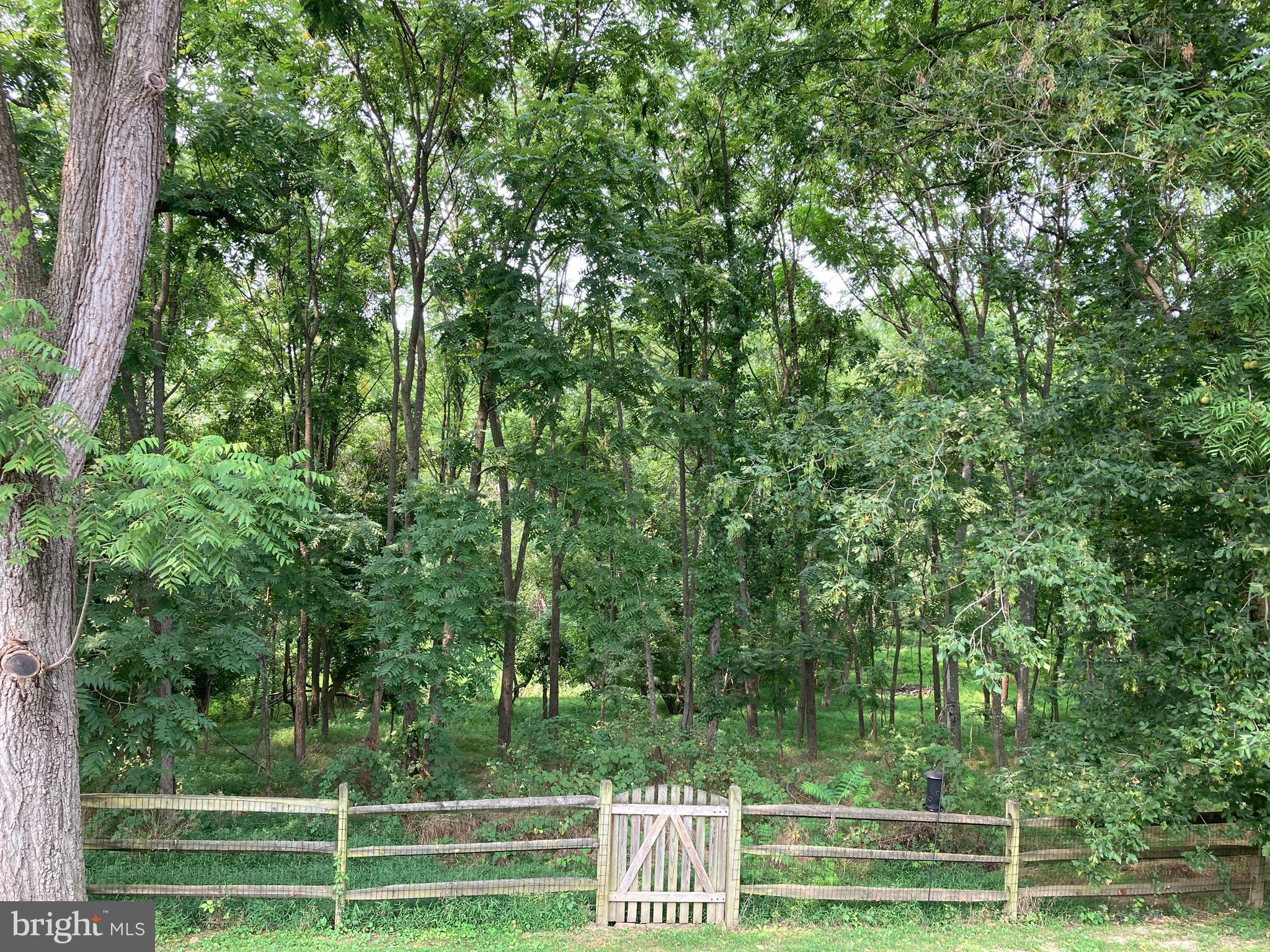 6916 Fox Chase Road New Market, MD 21774 - Photo 35 of 43 Woods are common ground.