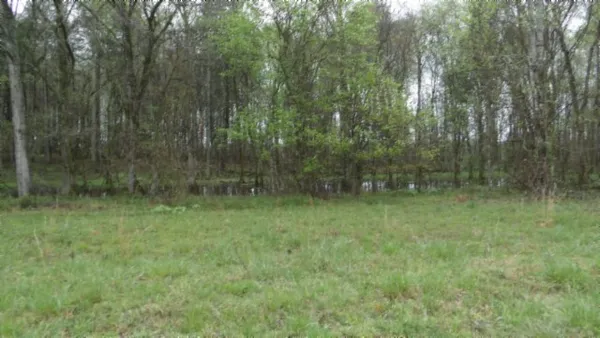 a view of a garden