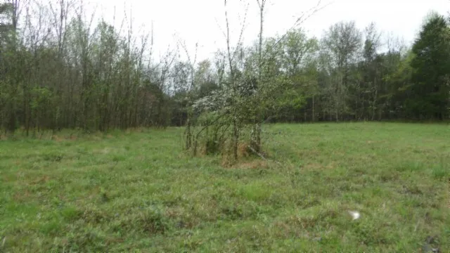 a view of a outdoor space and a yard