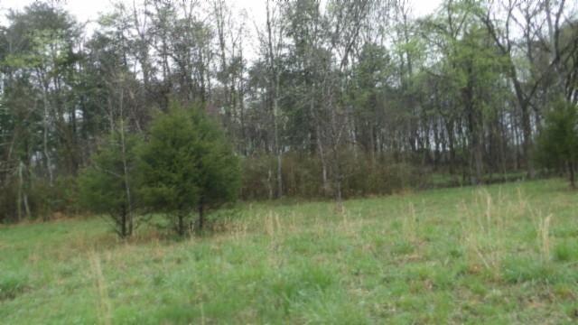 0 Denton Road Moss, TN 38575 - Photo 16 of 80 a view of a yard