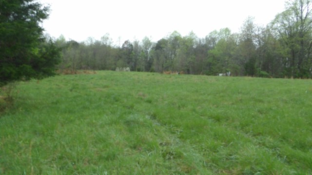 0 Denton Road Moss, TN 38575 - Photo 25 of 80 a view of a green field with trees in the background