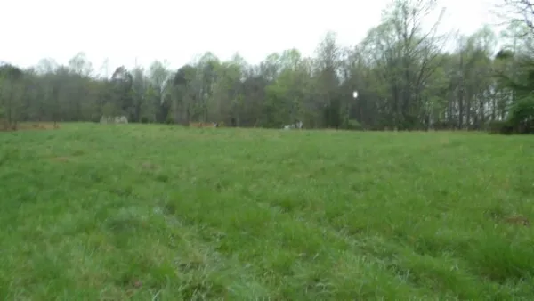 a view of a field of grass and trees