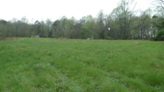 a view of a field of grass and trees