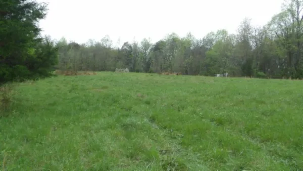 a view of a grassy field with trees in the background