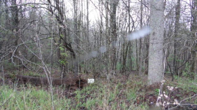 0 Denton Road Moss, TN 38575 - Photo 31 of 80