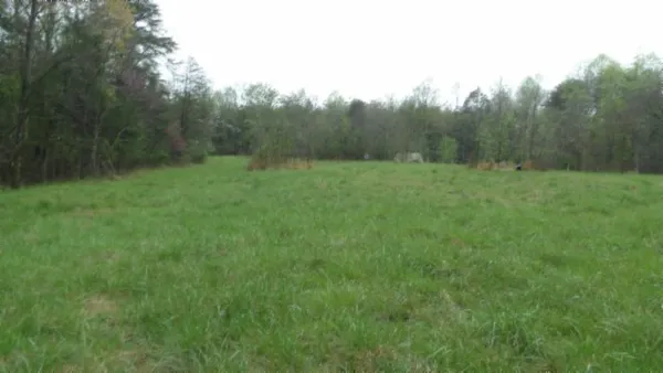 a view of a yard with lots of green space and garden