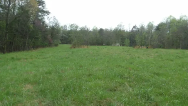 a view of a yard with lots of green space and garden
