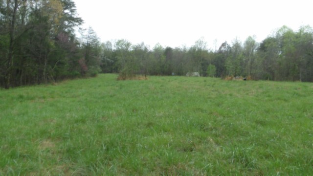 0 Denton Road Moss, TN 38575 - Photo 32 of 80 a view of a field of grass and trees