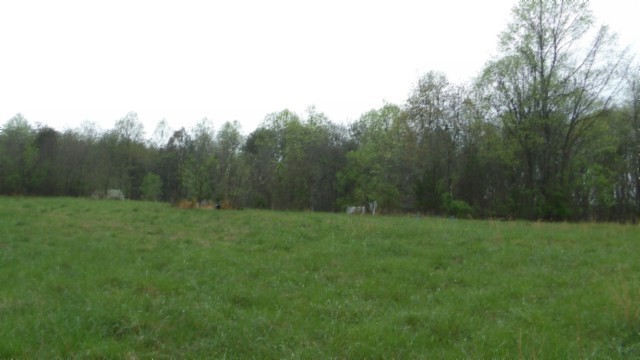 0 Denton Road Moss, TN 38575 - Photo 33 of 80 a view of a grassy field with trees in the background