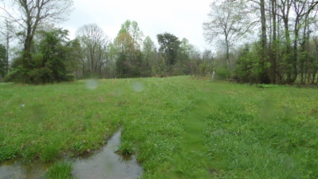 0 Denton Road Moss, TN 38575 - Photo 34 of 80 a view of a lush green space