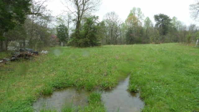 0 Denton Road Moss, TN 38575 - Photo 35 of 80 a view of a lush green forest with lots of trees