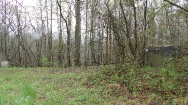 0 Denton Road Moss, TN 38575 - Photo 37 of 80 a view of backyard with green space