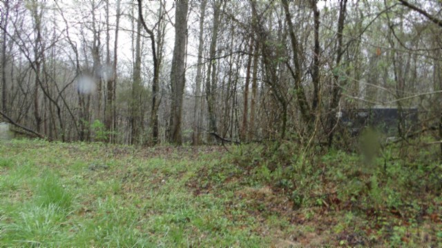 0 Denton Road Moss, TN 38575 - Photo 38 of 80