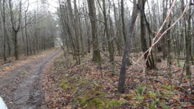 a view of small space with trees