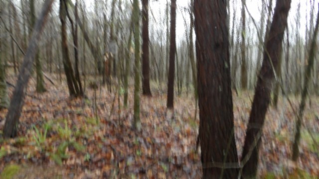 0 Denton Road Moss, TN 38575 - Photo 45 of 80